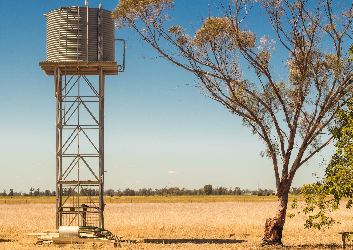 El Niño Southern Oscillation (ENSO) risks for Western Australian graziers