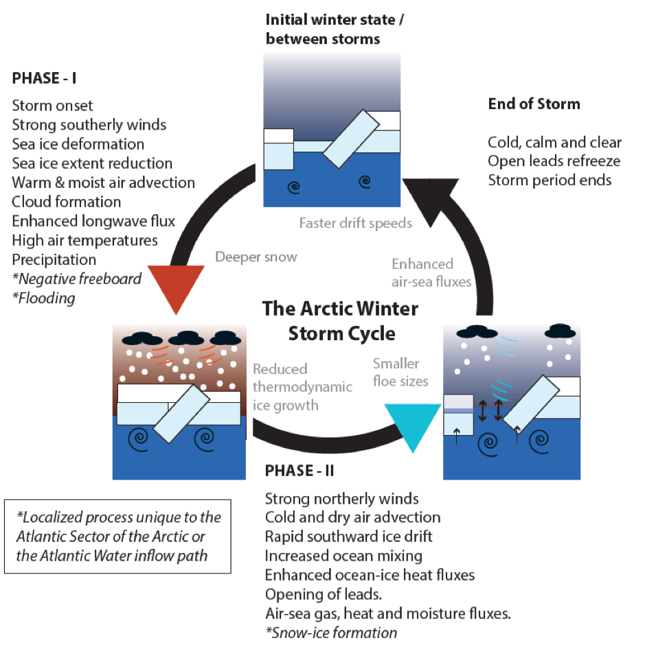 The Arctic winter storm cycle