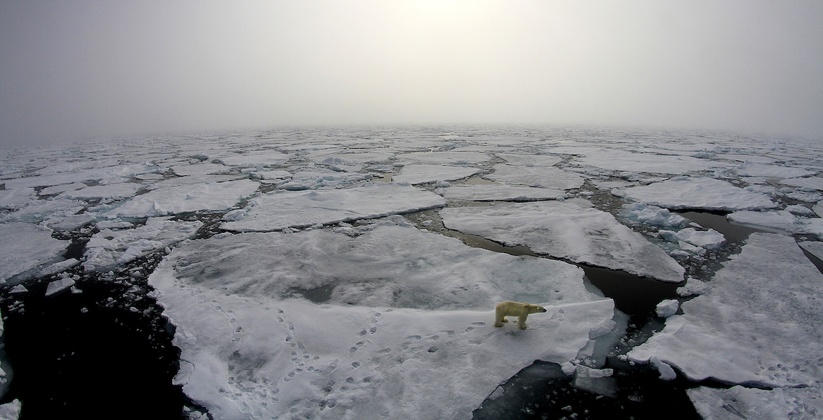 Research brief: Winter storms accelerate disintegration of sea ice in the Arctic