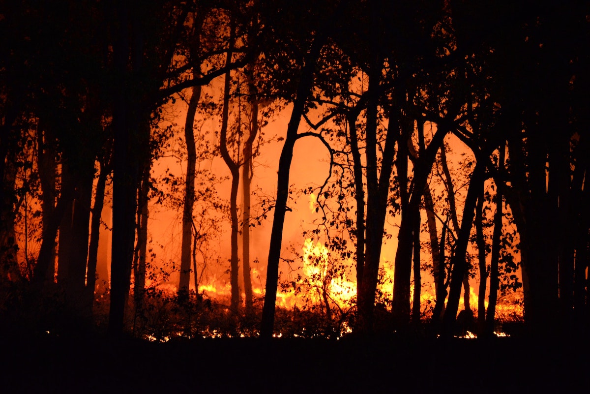 How climate change impacts prescribed burning days