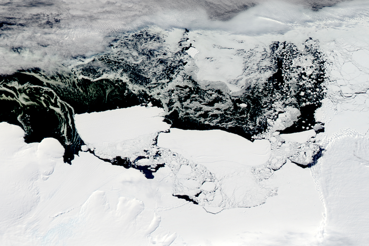 Research brief: How a glacier tongue break influenced phytoplankton blooms in Antarctica