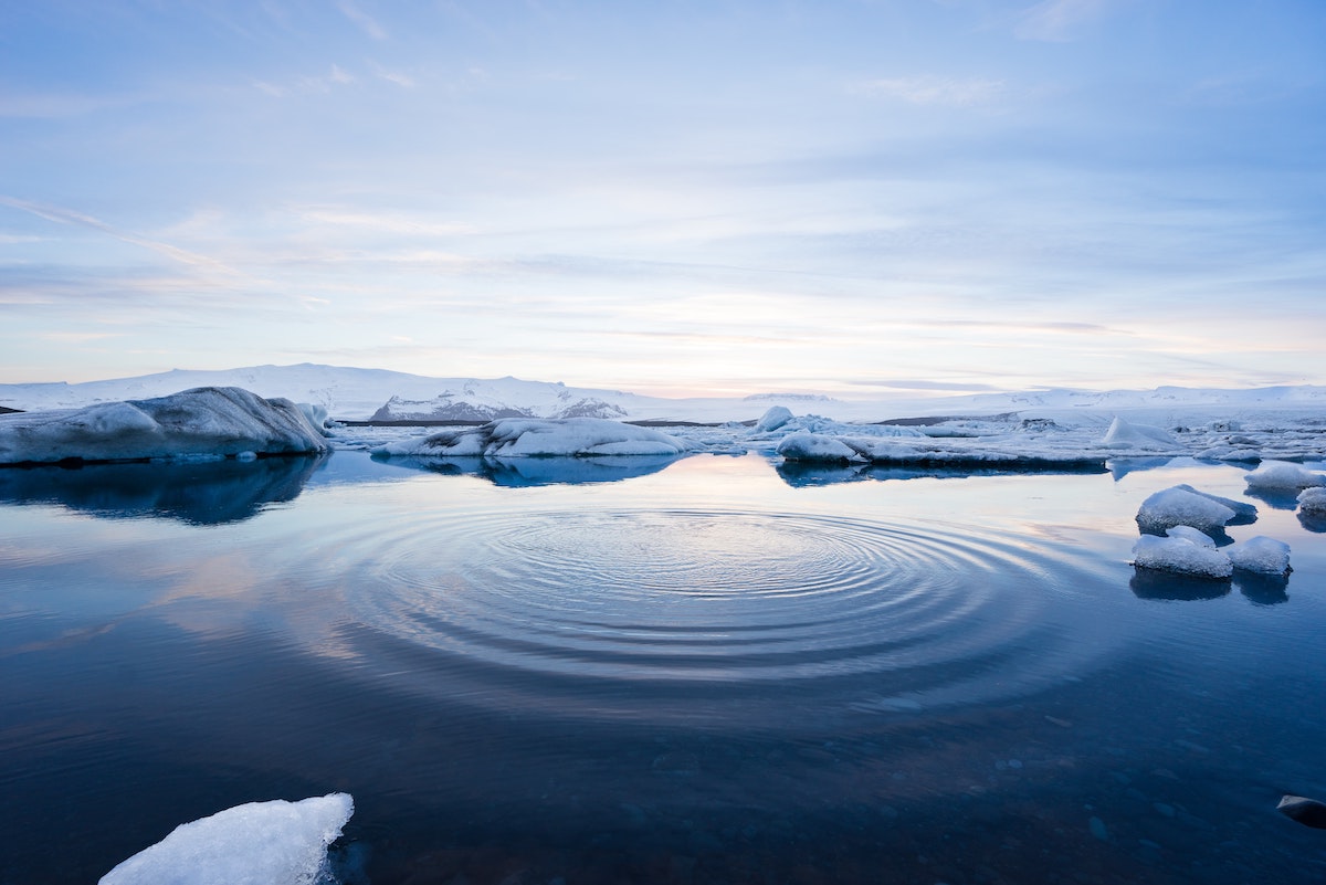 Research brief: How Arctic primary production will alter with climate change