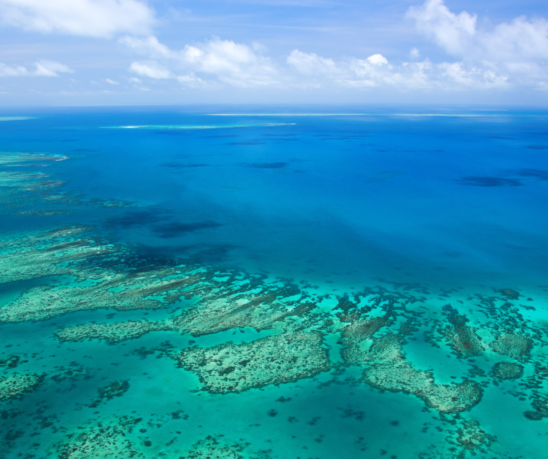 New study links local meteorology to coral bleaching events in the Great Barrier Reef