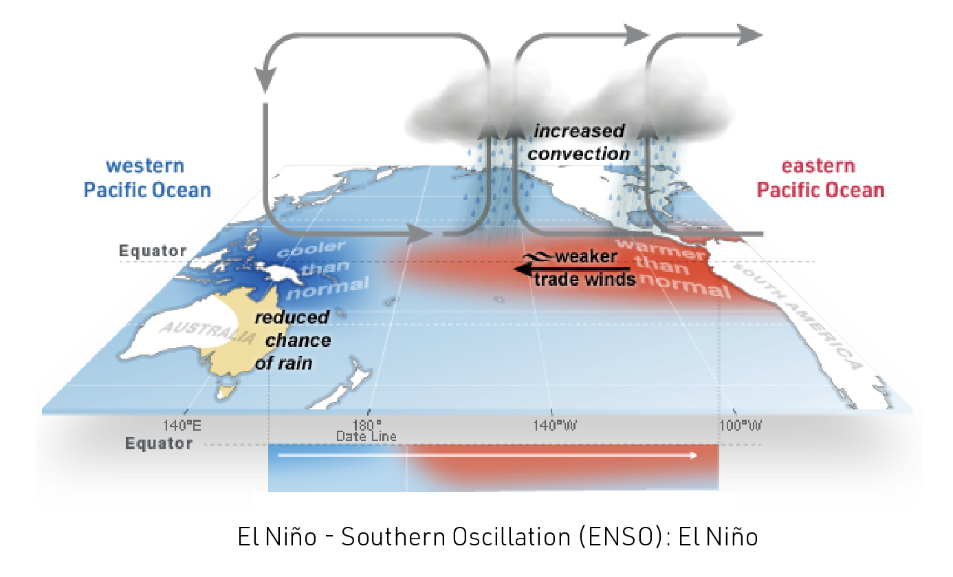 The ARC Centre of Excellence for Climate Extremes | What is El Niño’s ...