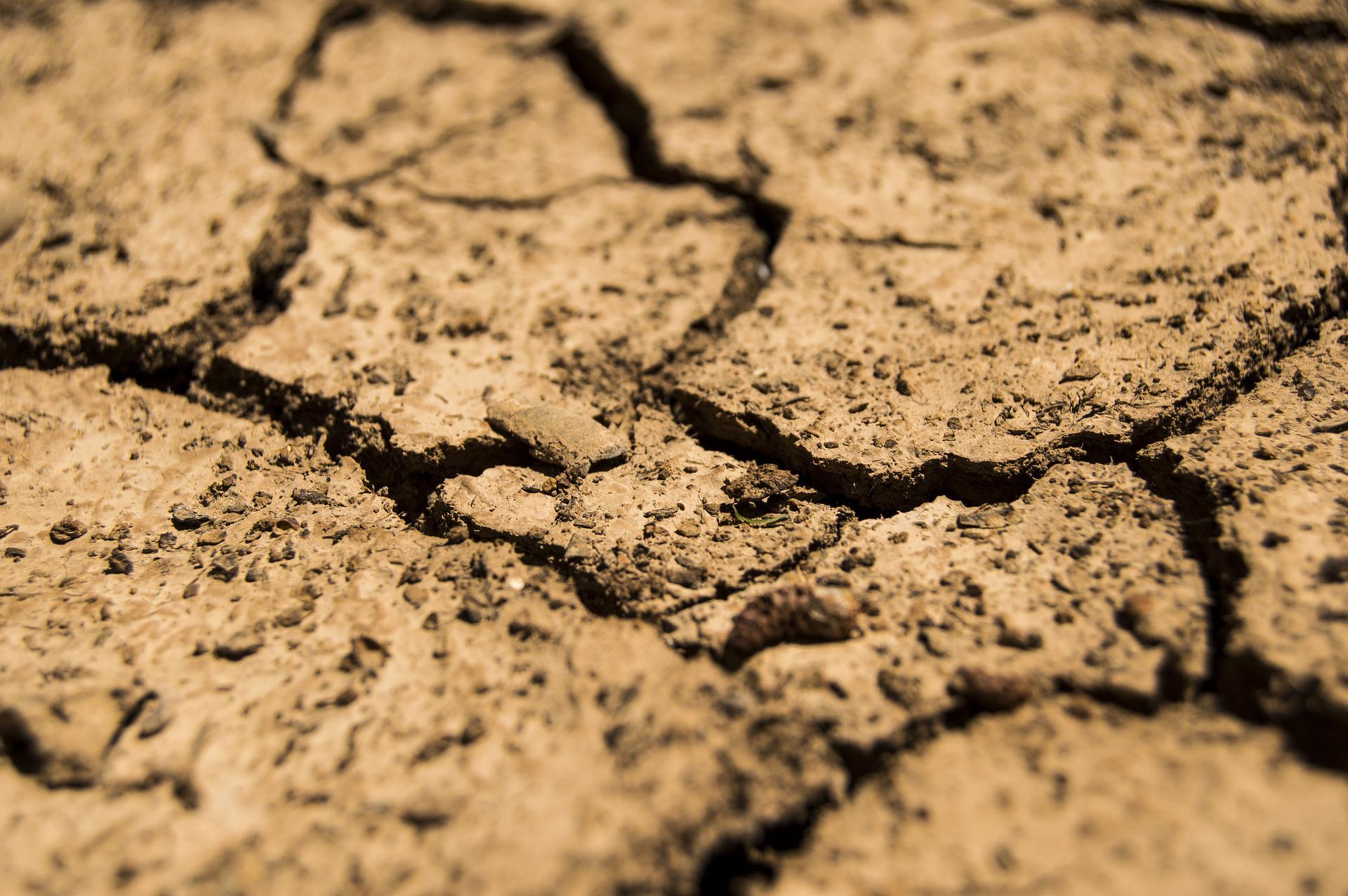 UNSW03: Developing a drought impacts database for Australia
