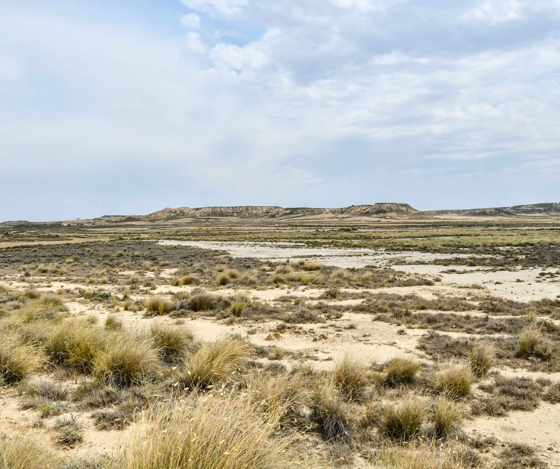  Less than 4% of dryland areas will turn into desert under climate change, new study shows