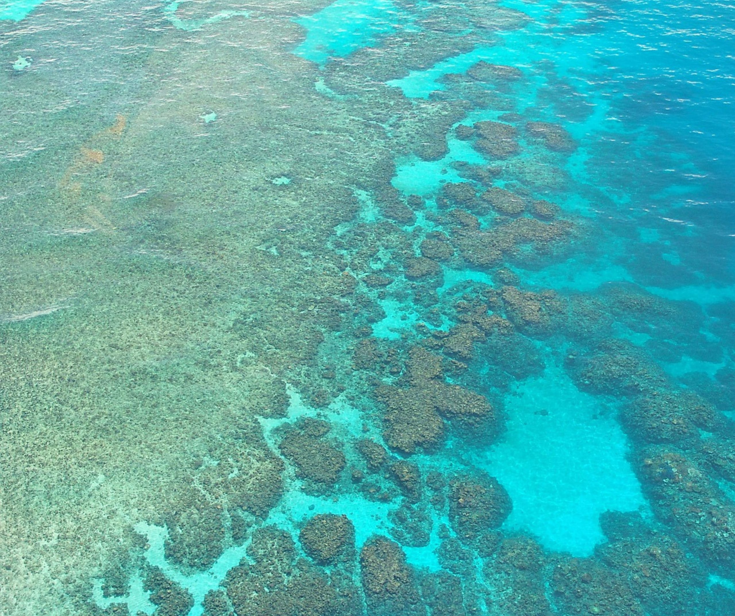 The UN leaves the GBR off the ‘in danger’ list again